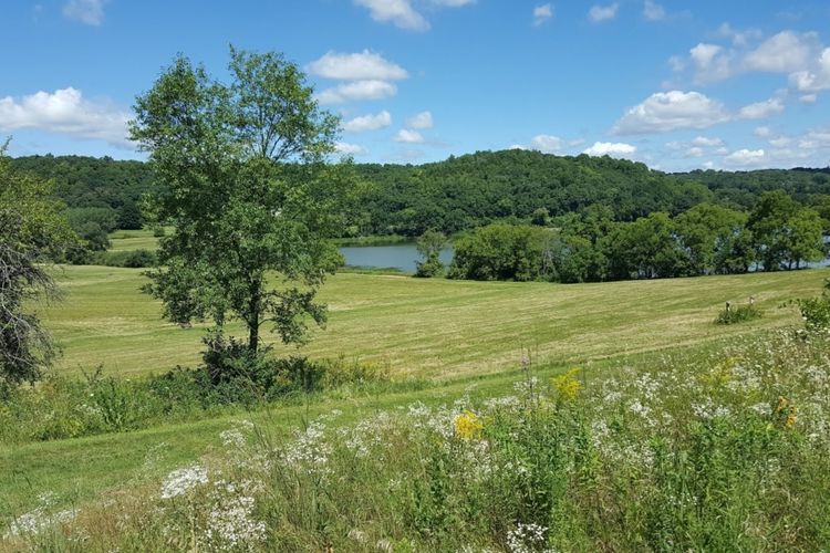 Cross Plains, Wisconsin Homes for Sale & Real Estate