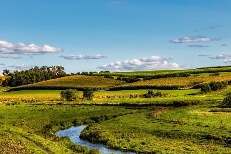 Marshall, Wisconsin Real Estate & Homes for Sale