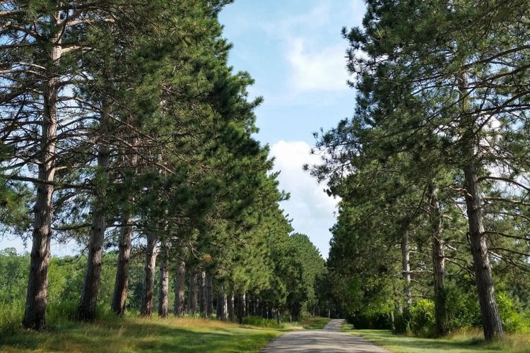 Poynette, WI Homes for Sale and Realtors