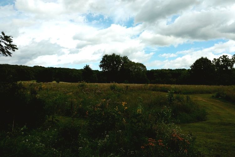 Poynette, WI Homes for Sale and Realtors